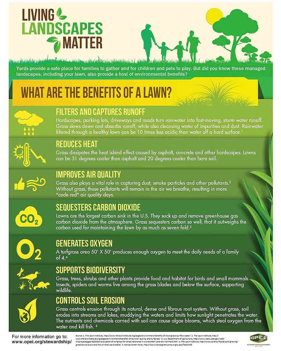 The Environmental Benefits Of Your Lawn - Lawns ... - Scotts Fundamentals Explained